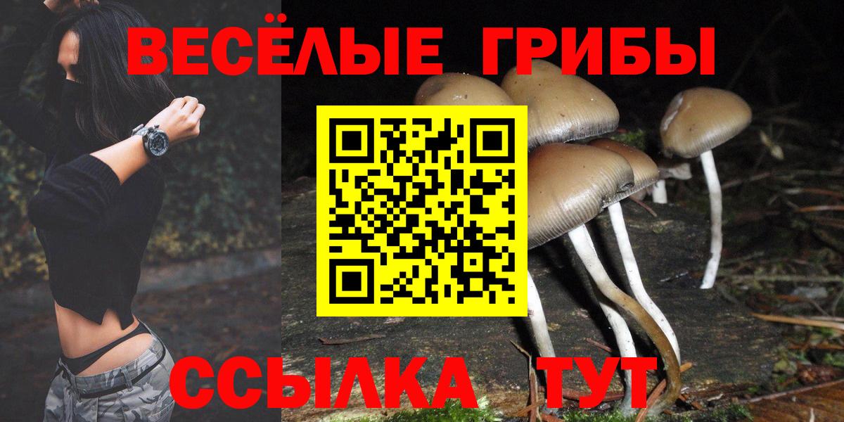 Галлюциногенные грибы прущие грибы  Вход с VPN  Белебей 